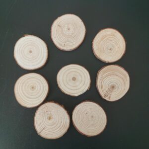 Visačka jmenovka kolečko dřevěné s kůrou přírodní (8 ks)