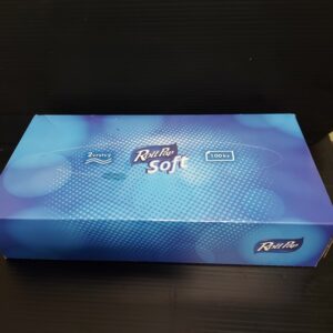 Papírové kapesníčky 2-vrstvé v krabičce (100 ks)